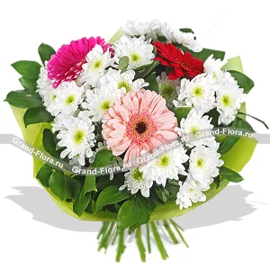 Кокетка Кокетка