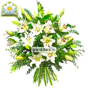 Мелодия любви Мелодия любви