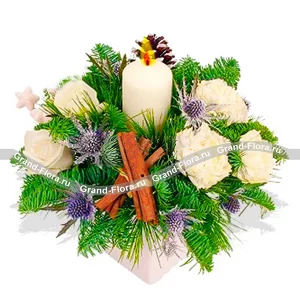 Свежесть зимнего леса  Свежесть зимнего леса